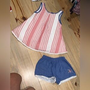 Well dressed wolf 2 piece firework set